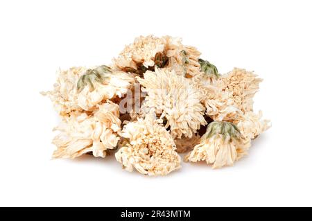 Tas de fleurs de chrysanthème séchées sur fond blanc Banque D'Images