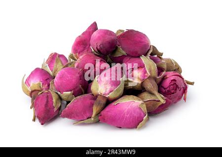 fleurs de rose de thé, isolées sur fond blanc Banque D'Images