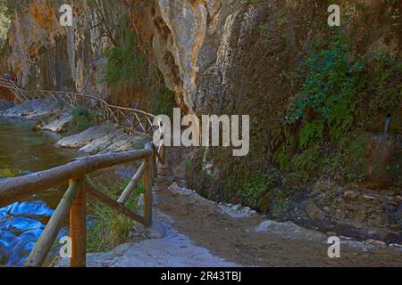 Cerrada de Elias, gorge, rivière Borosa, Sierra de Cazorla Segura et Parc naturel de Las Villas, province de Jaen, Andalousie, Espagne Banque D'Images