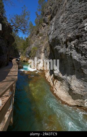 Cerrada de Elias, gorge, rivière Borosa, Sierra de Cazorla Segura et Parc naturel de Las Villas, province de Jaen, Andalousie, Espagne Banque D'Images