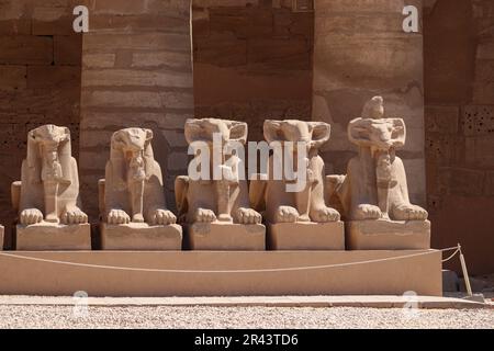 Avenue des Sphinxes (statues à tête de bélier) au temple de Karnak, Louxor, Égypte Banque D'Images