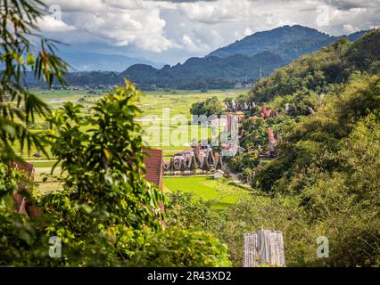 Ricefields à Tana Toraja, Sulawesi, Indonésie Banque D'Images