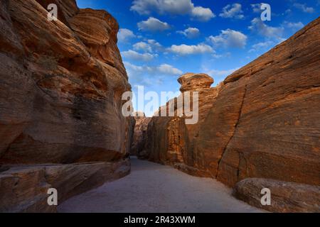 Treasury Al-Khazneh, vue historique en pierre de Petra. Voyage Jordanie, vacances en Arabie. Lumière du soir dans la nature, Jordanie. Arche de paysage en pierre rouge Banque D'Images