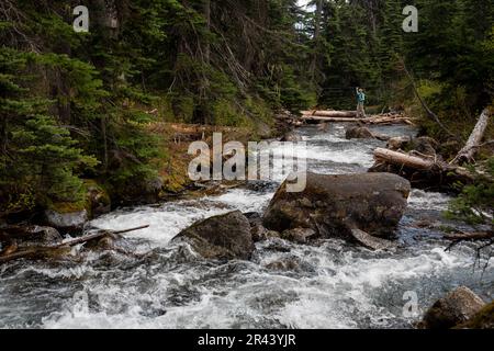 Longueur complète de femmes qui font de la randonnée sur une rivière dans les montagnes du Canada. Banque D'Images