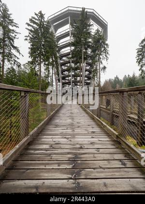Tree Top Trail Watchtower, Stezka Korunami Stromu, Janske lazne ville, Tchéquie. Tour de surveillance en bois de 42,7 mètres de haut. Banque D'Images