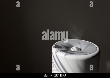 Le diffuseur, le purificateur d'air ou l'humidificateur libère un flux puissant de vapeur froide avec de l'huile essentielle dans la pièce avec une installation de maison fantôme. Aromather vapeur d'huile aromatique Banque D'Images