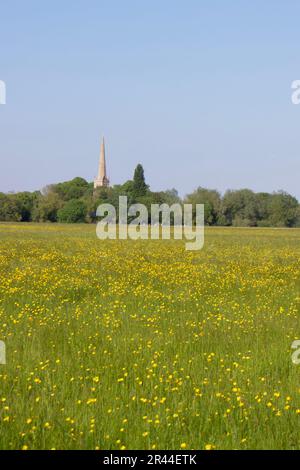 Royaume-Uni, Cambridgeshire - Hemmingford Meadow Banque D'Images