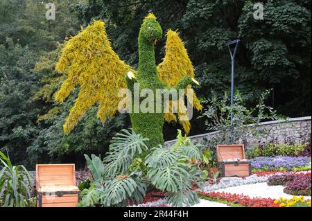 Installation florale dans le parc municipal de Singing Field. 18 août 2018. Kiev, Ukraine Banque D'Images