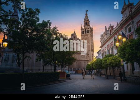 Cathédrale de Séville et Plaza del Triunfo au coucher du soleil - Séville, Andalousie, Espagne Banque D'Images