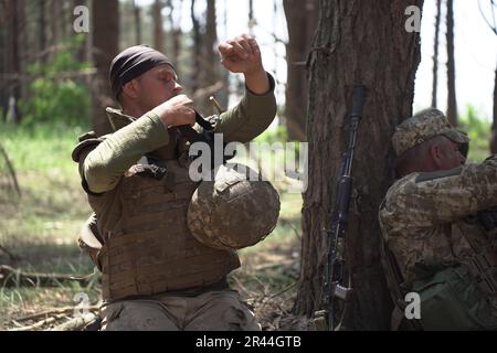 Les soldats de l'infanterie régulière des Forces armées de UkraineÕs reçoivent une formation médicale intensive de la part de bénévoles de la Fondation Prytula. Les formateurs de la fondation apprennent auprès d'experts en formation médicale occidentale de type OTAN au TCCC. Les soldats de la grande base militaire simulent les conditions de première ligne, vivent dans la forêt et creusent des tranchées sur de longues périodes. Banque D'Images