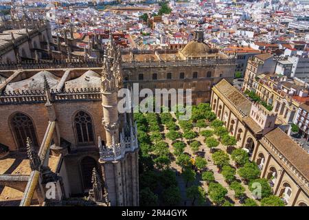 Vue aérienne du patio de los Naranjos (cour de l'arbre orange) à la cathédrale de Séville - Séville, Andalousie, Espagne Banque D'Images