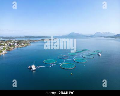 Aukra 20230522.saumon, truite arc-en-ciel et truite dans les installations aquacoles dans la mer à Aukrasanden. MOWI EAU DE MER NORVÈGE AS, qui a l'installation. Photo: Gorm Kallestad / NTB Banque D'Images