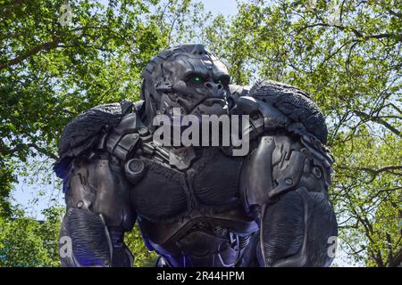 Londres, Royaume-Uni. 26th mai 2023. Une statue d'Optimus Primal. D'énormes Transformers ont été installés à Leicester Square avant la première du prochain film de la série, Transformers: Rise of the Beasts. Credit: Vuk Valcic/Alamy Live News Banque D'Images