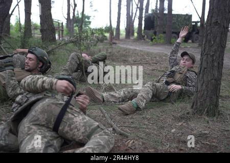 Les soldats de l'infanterie régulière des Forces armées de UkraineÕs reçoivent une formation médicale intensive de la part de bénévoles de la Fondation Prytula. Les formateurs de la fondation apprennent auprès d'experts en formation médicale occidentale de type OTAN au TCCC. Les soldats de la grande base militaire simulent les conditions de première ligne, vivent dans la forêt et creusent des tranchées sur de longues périodes. Banque D'Images