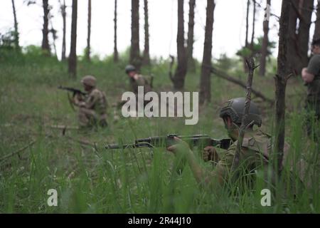 Les soldats de l'infanterie régulière des Forces armées de UkraineÕs reçoivent une formation médicale intensive de la part de bénévoles de la Fondation Prytula. Les formateurs de la fondation apprennent auprès d'experts en formation médicale occidentale de type OTAN au TCCC. Les soldats de la grande base militaire simulent les conditions de première ligne, vivent dans la forêt et creusent des tranchées sur de longues périodes. Banque D'Images