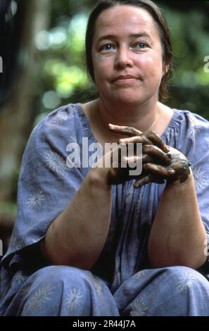 KATHY BATES en JEU DANS LES DOMAINES DE L'Éternel réalisateur 1991 HECTOR BABENCO roman Peter Matthiessen scénario Jean-Claude Carriere et Hector Babenco musique Zbigniew Preisner USA - Brésil coproduction The Saul Zaentz Company / Universal Pictures (US) - Entertainment film Distributors (UK) Banque D'Images