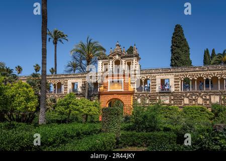 Galerie des Grotesques (Galeria de los Grutescos) aux jardins de l'Alcazar (Palais Royal de Séville) - Séville, Andalousie, Espagne Banque D'Images