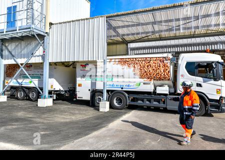 Grand-Couronne (Normandie, Nord de la France) : site de TotalEnergies où les granulés de bois sont mis en sacs et chargés Banque D'Images