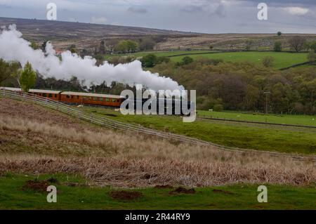 Train à vapeur sur NYMR Banque D'Images