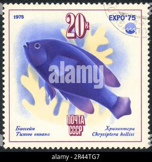 Un timbre imprimé en URSS montre le poisson de l'océan Pacifique Chrysiptera hollisi, de la série 'EXPO 75', vers 1975 Banque D'Images