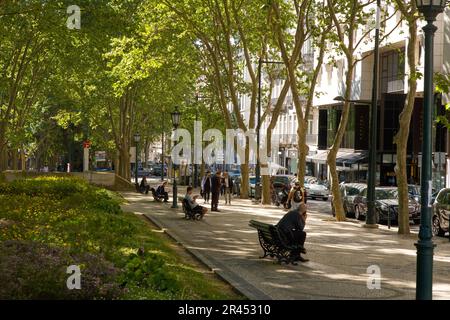 L'Avenida da Liberdade, la rue commerçante haut de gamme, possède un centre-ville où vous pourrez vous asseoir à l'ombre Banque D'Images