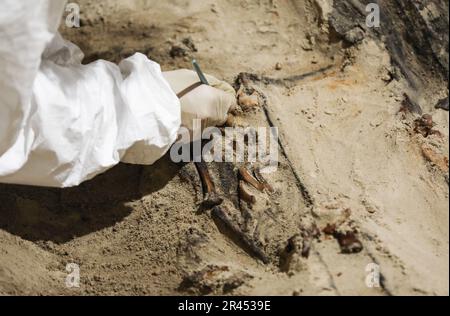 AMSTERDAM - découvertes trouvées lors de recherches archéologiques dans le Nieuwe Kerk. En raison de la restauration de huit colonnes du bâtiment monumental de la place du Dam, les archéologues auront l'occasion d'étudier le terrain autour de l'église dans la période à venir. ANP EVA PLEVIER pays-bas sortie - belgique sortie Banque D'Images