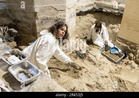 AMSTERDAM - découvertes trouvées lors de recherches archéologiques dans le Nieuwe Kerk. En raison de la restauration de huit colonnes du bâtiment monumental de la place du Dam, les archéologues auront l'occasion d'étudier le terrain autour de l'église dans la période à venir. ANP EVA PLEVIER pays-bas sortie - belgique sortie Banque D'Images