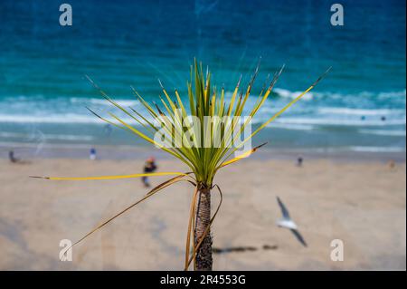 Londres, Royaume-Uni. 26th mai 2023. Les gens aiment le soleil sur la plage comme vu de la Tate St Ives. Crédit : Guy Bell/Alay Live News Banque D'Images