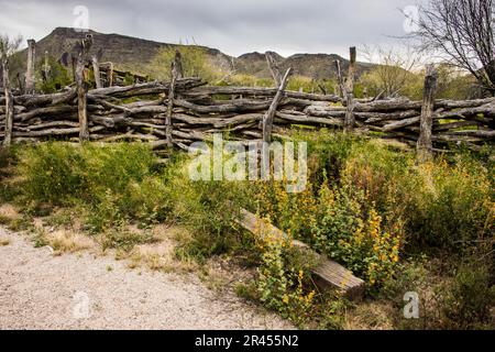 Historique Bates Well and Ranch in Sonoran Desert, Organ Pipe Cactus National Monument, Ajo, Lukeville, Arizona, Etats-Unis Banque D'Images