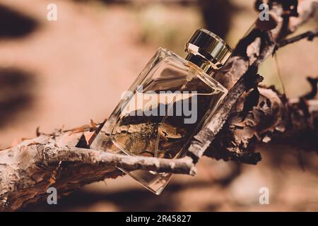Bouteille de parfum sur fond de nature Banque D'Images