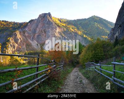 Un sentier rural pittoresque bordé d'une clôture en bois rustique menant aux montagnes du comté de Neamt Banque D'Images