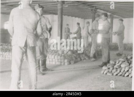 Augustin, Paul, SS photographe de la Leibstandarte Adolf Hitler. Événements documentés aux pays-Bas, en France (1940) et en Russie (1941-43). Prisonniers de guerre français, construction de ponts, équipage anti-char, équipe de mitrailleuses, convois de véhicules sur la route et dans les villes, forts belges, camp de prisonniers de guerre, scènes de destruction, activités post-combat et d'occupation, activités d'entraînement et sportives, Hitler Youth et Bund Deutscher Mädel (Ligue des filles allemandes) activités sportives et spectacles culturels, formations et cérémonies d'unités, hôpital de campagne, photos formelles individuelles et collectives, anti-avions légers Banque D'Images