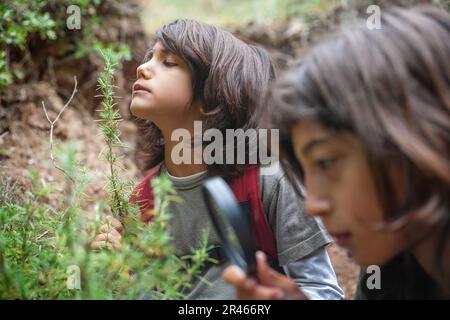 Deux enfants frères et sœurs s'engagent dans l'exploration et l'observation de la nature. Banque D'Images