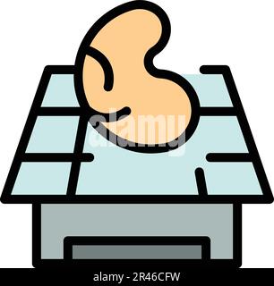 Icône de bioprinage de laboratoire. Outline Lab bioprinting vector icon for web design isolé sur fond blanc couleur plate Illustration de Vecteur