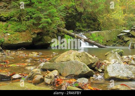 Photo prise en Ukraine à l'automne. Sur la photo, il y a une cascade dans les montagnes carpathes appelée - pleurs girleuses. Banque D'Images