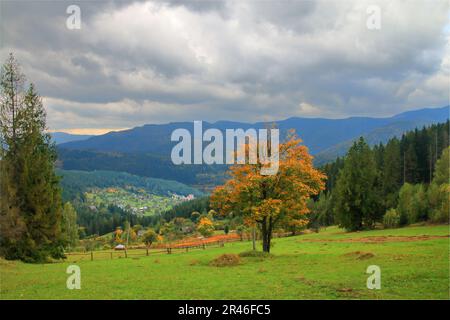 Photo prise en Ukraine. Sur la photo, il y a un paysage d'automne avec un village dans les montagnes Carpates. Banque D'Images