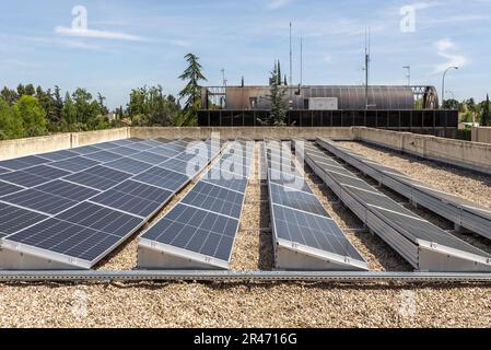 Rangées de panneaux photovoltaïques sur le toit d'un immeuble de bureaux entouré d'arbres Banque D'Images