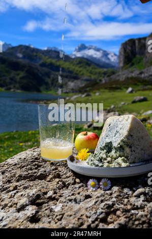 Verser dans un verre de cidre naturel des Asturies à base de pommes fermentées, fromage bleu de vache des Asturies cabrales avec vue sur les lacs de Covadonga et les sommets de Pico Banque D'Images
