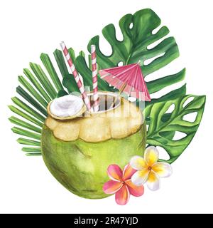Cocktail vert noix de coco paille parapluie boisson de plage. Feuilles de Monstera, fleurs de frangipani. Illustration aquarelle dessinée à la main isolée sur fond blanc Banque D'Images
