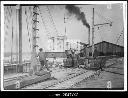 Le déchargement des huîtres sur le dock. Alabama Canning Co. Bayou La Batre, Alabama. Banque D'Images