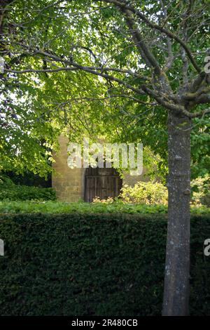 Entrée par les arbres dans un grand jardin Banque D'Images