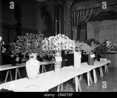 Expositions, American Carnation Society Exhibition, Detroit, Michigan, entre 1900 et 1905. Banque D'Images