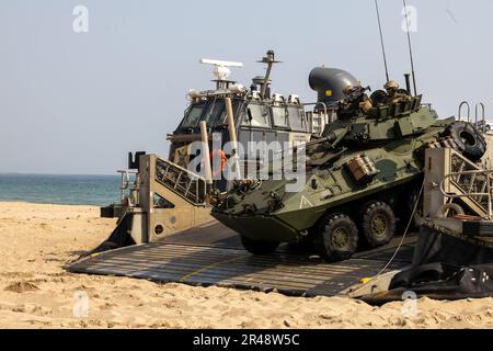 Plage de HWAJIN-RI, République de Corée (29 mars 2023) – États-Unis Les Marines avec l'équipe de Bataillon d'atterrissage 2/4, 13th Marine Expeditionary Unit, arrivent à terre dans un véhicule blindé léger pour un assaut amphibie pendant Ssang Yong 23. Célébrant le 70th anniversaire de l’Alliance des États-Unis et de la République de Corée, Ssang Yong 2023 renforce l’Alliance par une formation conjointe bilatérale, contribuant à la défense combinée de la République de Corée dans la péninsule coréenne et augmentant la préparation de l’Alliance des États-Unis et de la République de Corée. Banque D'Images