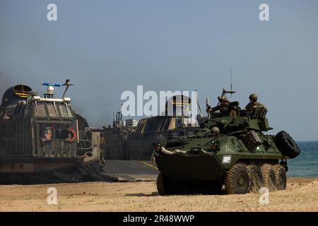 HWAJIN-RI BEACH, République de Corée (29 mars 2023) – États-Unis Marines affecté à l'équipe de débarquement du Bataillon 2/4, 13th Marine Expeditionary Unit, déplacer dans un véhicule blindé léger pendant Ssang Young 23. Célébrant le 70th anniversaire de l’Alliance des États-Unis et de la République de Corée, Ssang Young 2023 renforce l’Alliance par une formation conjointe bilatérale, contribuant à la défense combinée de la République de Corée dans la péninsule coréenne et augmentant la préparation de l’Alliance des États-Unis et de la République de Corée. Banque D'Images