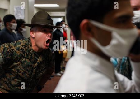 De nouvelles recrues de la Fox Company, 2nd Recruit Training Battalion, arrivent à bord du Marine corps Recruit Depot Pariris Island, S.C., 3 avril 2023. Au cours de leur première nuit à bord du dépôt, les recrues feront un appel téléphonique à la maison, recevront leur coupe de cheveux pour la première recrue, recevront leur uniforme et compléteront le traitement administratif initial. Banque D'Images