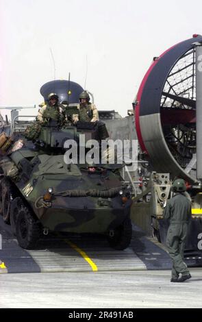 MARINE DES ÉTATS-UNIS Un membre de l'unité d'embarcation d'assaut cinq (ACU-5) dirige un véhicule de reconnaissance blindé léger (LARV) des États-Unis à terre à partir d'un coussin d'air d'embarcation d'atterrissage (LCAC) au Camp Patriot, au Koweït Banque D'Images