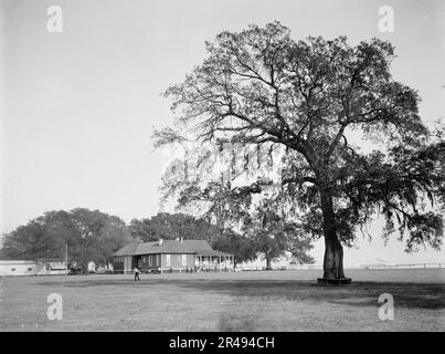 Mobile Country Club, Mobile, Ala, entre 1900 et 1906. Banque D'Images