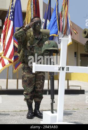 LA classe du Sgt. 1st de la Marine AMÉRICAINE attribuée à la Garde nationale de l'Armée de terre de Guam salue Banque D'Images
