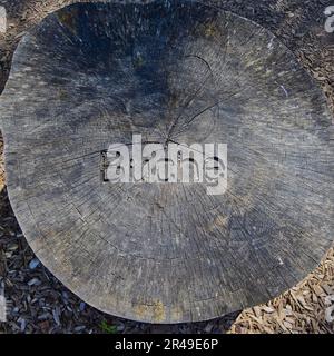 Un gros plan d'une souche d'arbre avec le mot 'Buche' sculpté dans elle Banque D'Images