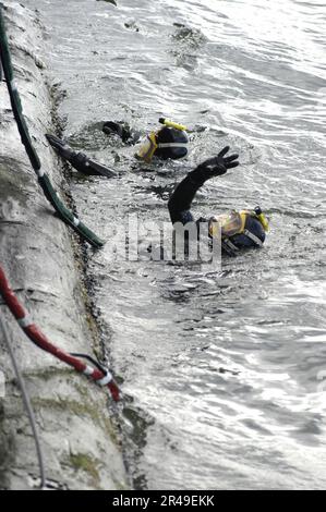 MARINE AMÉRICAINE S. Les plongeurs de la marine affectés à l'installation de maintenance intermédiaire navale Pacific Northwest, retournent à la surface après avoir fixé de nouveaux câbles aux « chameaux » d'amarrage latéral de la jetée Banque D'Images